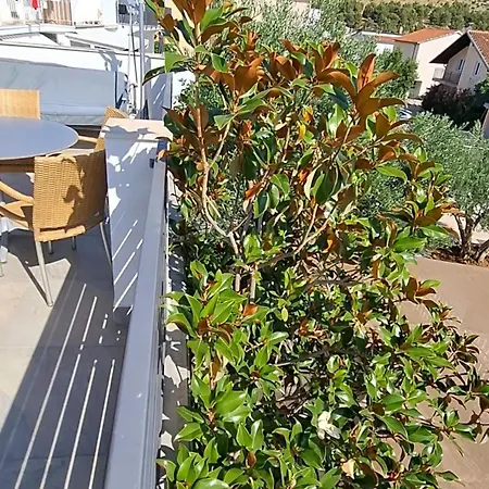 Apartment Magnolia Zaboric